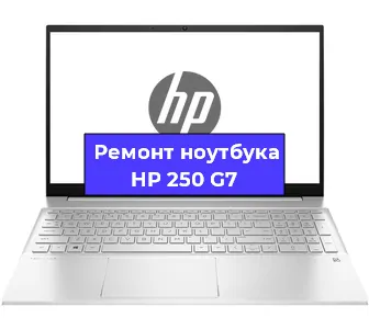 Замена петель на ноутбуке HP 250 G7 в Новосибирске